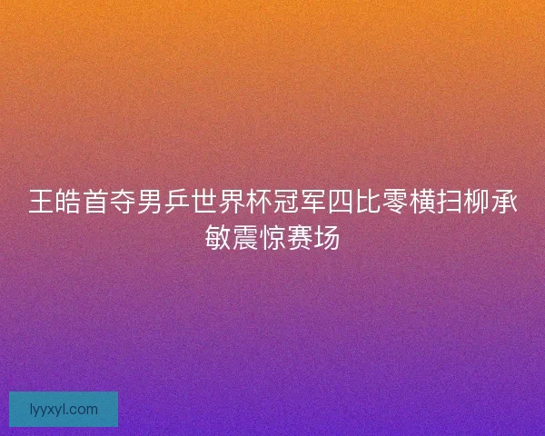 王皓首夺男乒世界杯冠军四比零横扫柳承敏震惊赛场